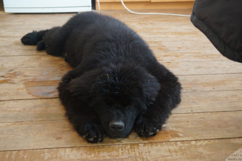 Фото: Елена Снигерева