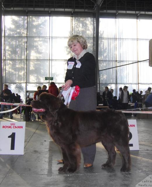 Фотография № 20098