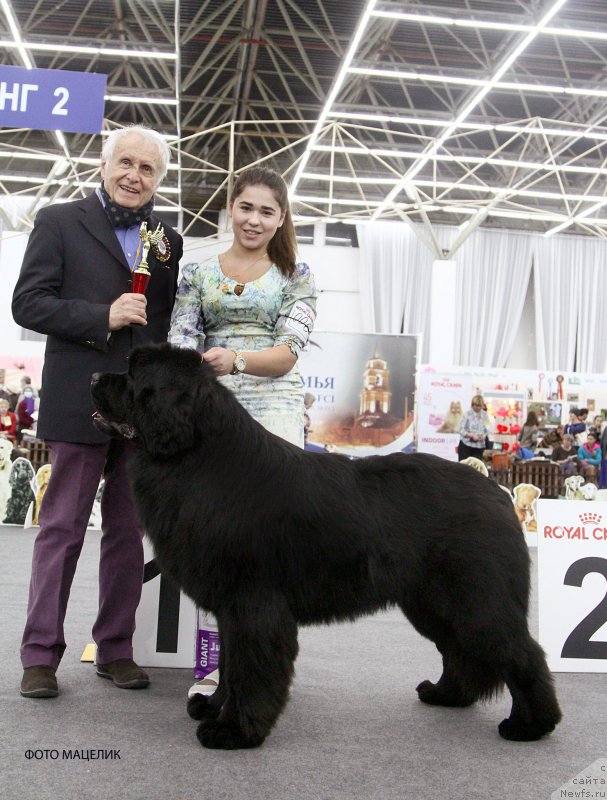 Фотография № 200992