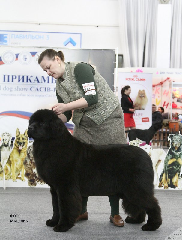 Фотография № 200993