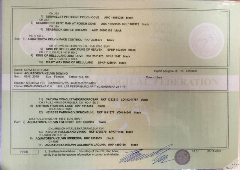 Фотография № 200994