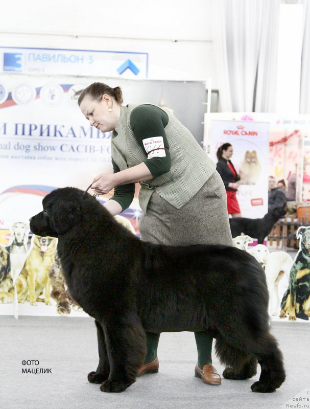 Фотография № 200995