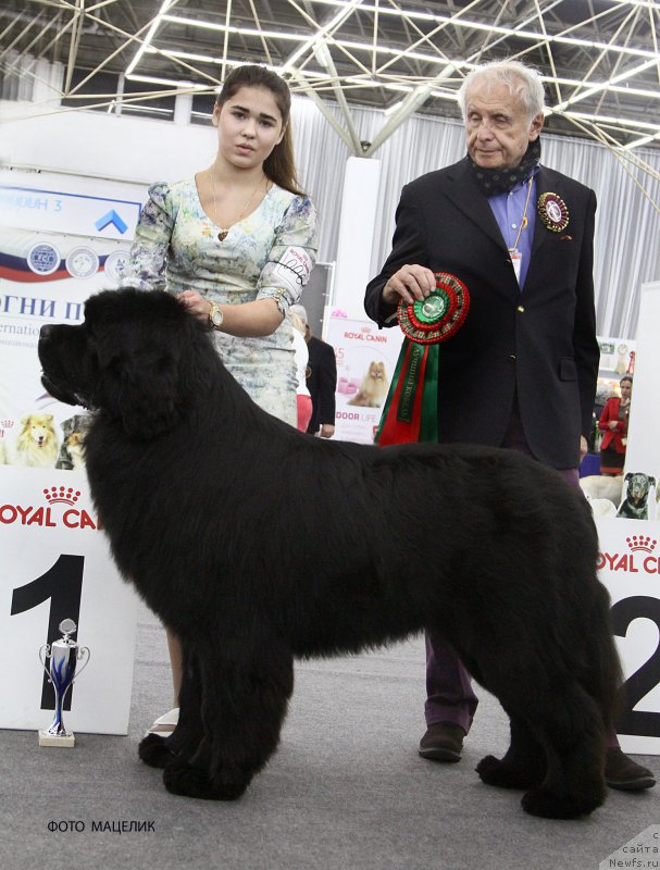 Фотография № 200996