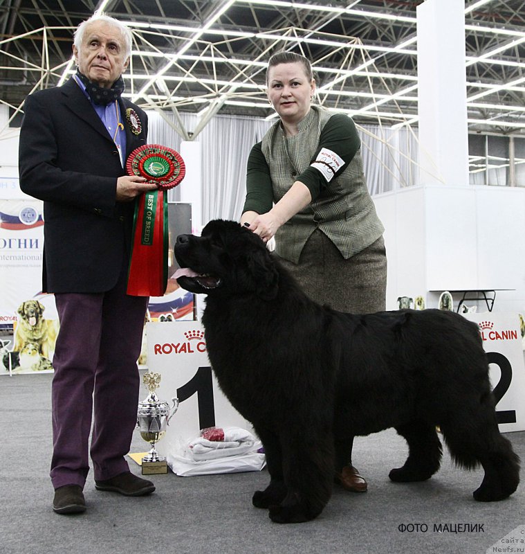 Фотография № 200998