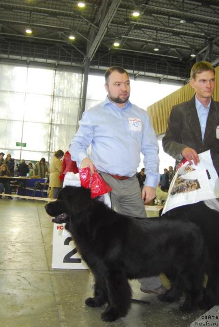 Фотография № 20100