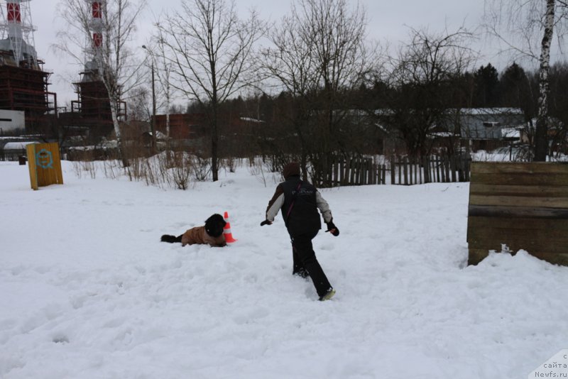 Фотография № 201002