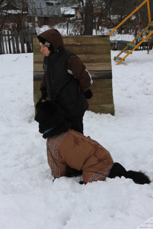 Фотография № 201003