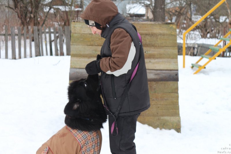 Фотография № 201004