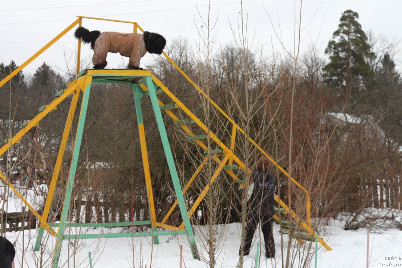 Фотография № 201005