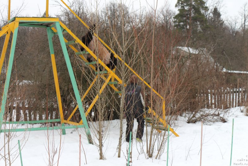 Фотография № 201006