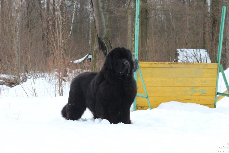 Фотография № 201007