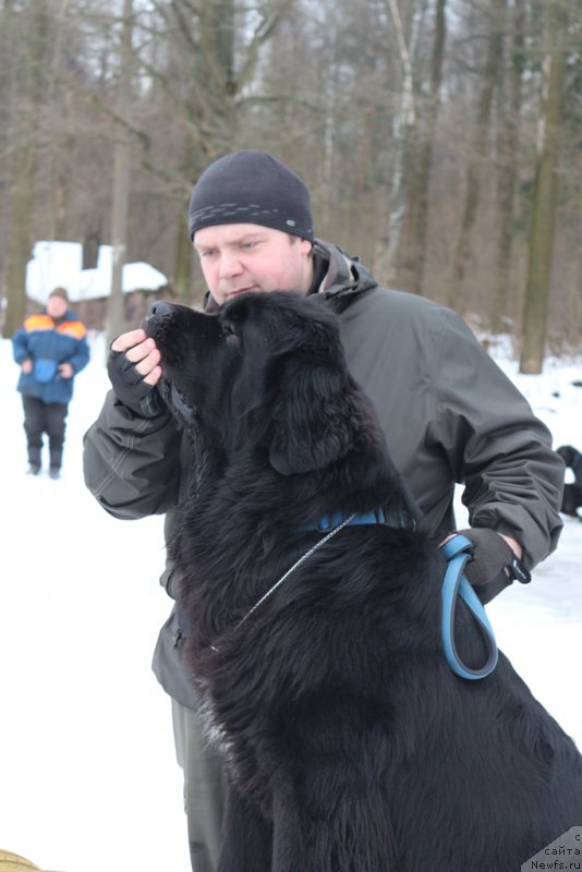 Фотография № 201008