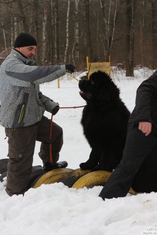 Фотография № 201009