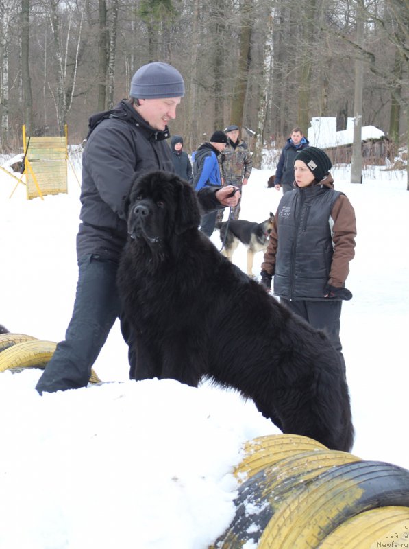 Фотография № 201010