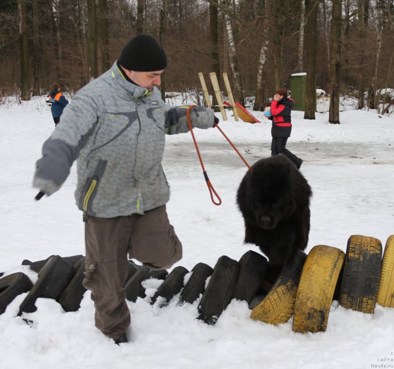 Фотография № 201011