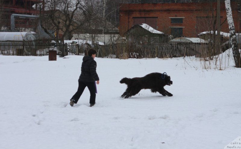 Фотография № 201012