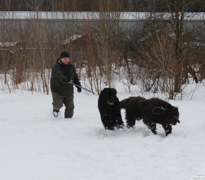 Фотография № 201013