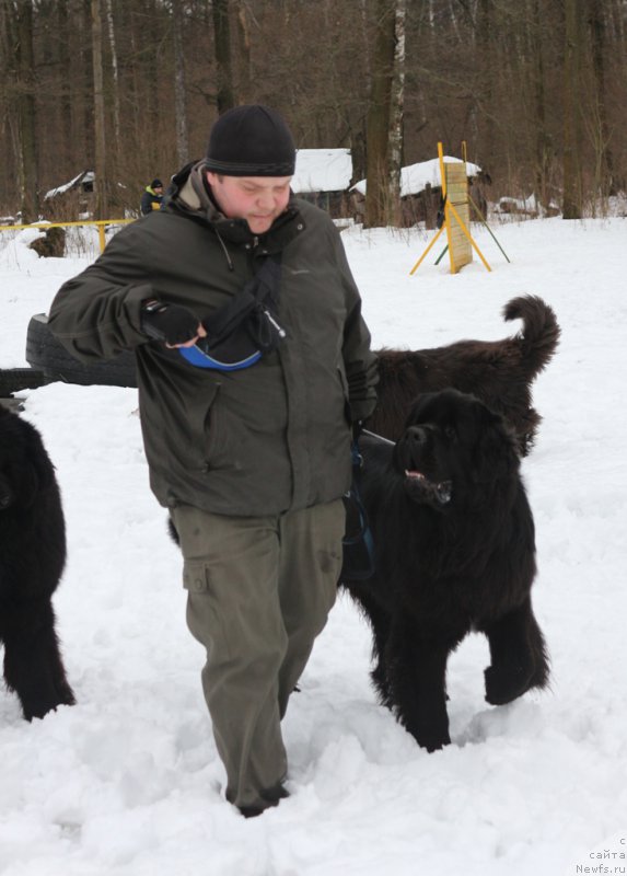 Фотография № 201014