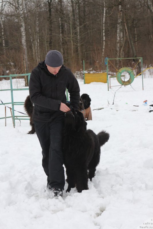 Фотография № 201015