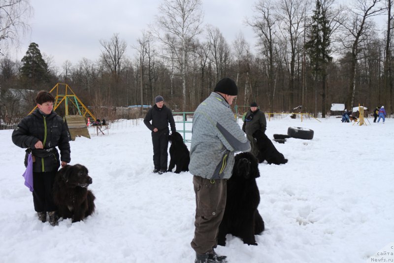 Фотография № 201016