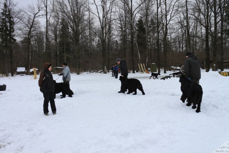 Фотография № 201017