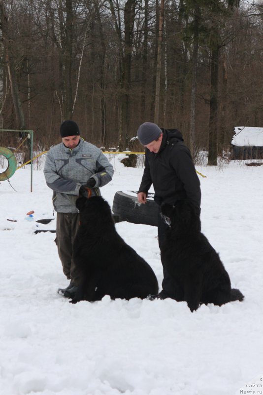 Фотография № 201018