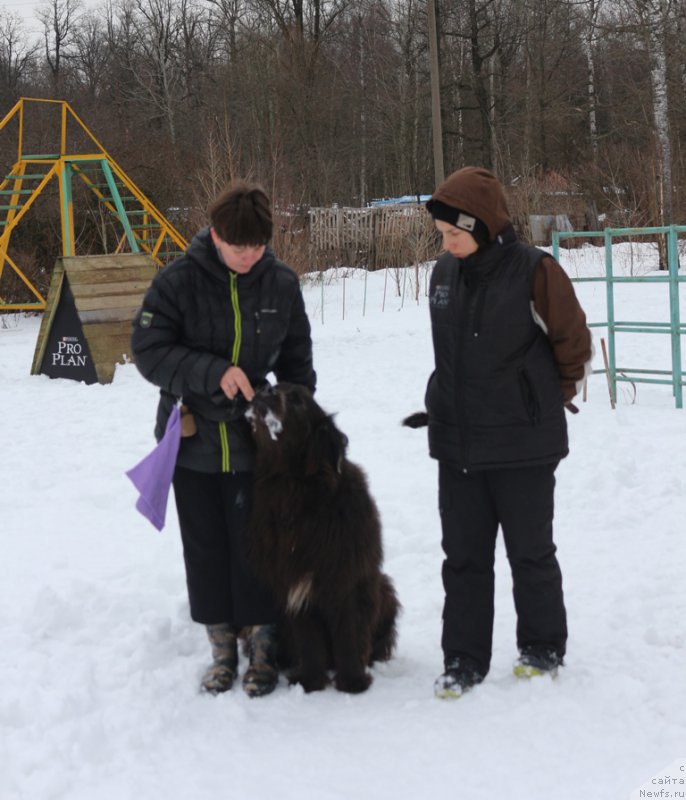 Фотография № 201019