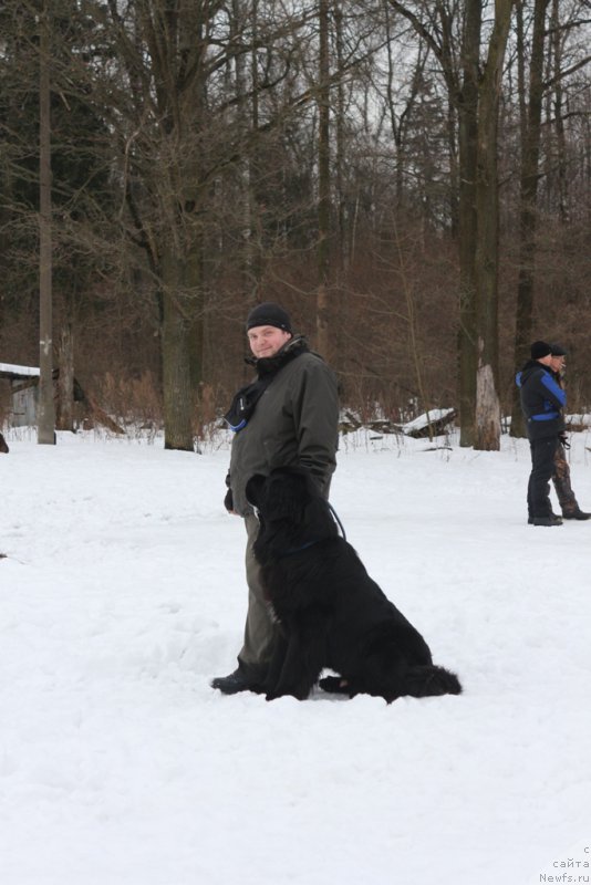 Фотография № 201020