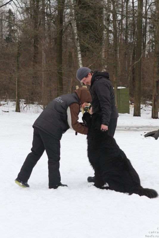 Фотография № 201022