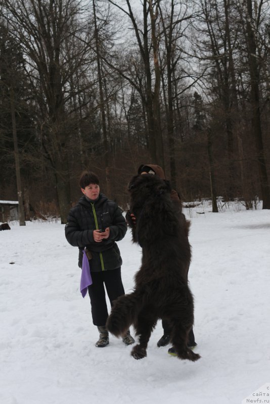 Фотография № 201023