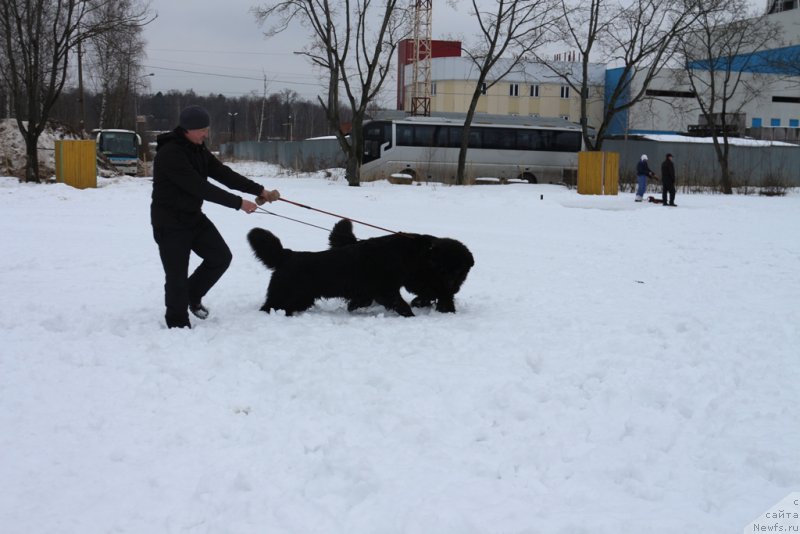 Фотография № 201024