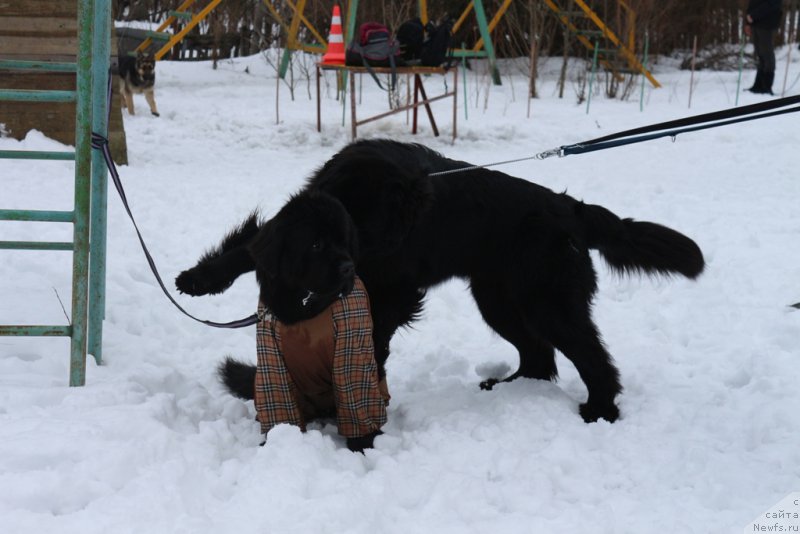 Фотография № 201026