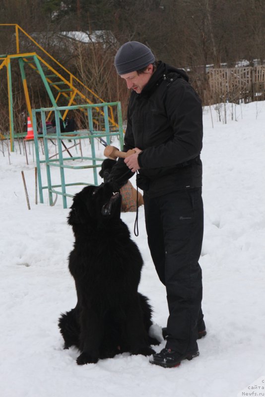 Фотография № 201027