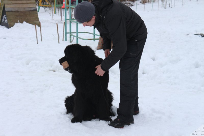 Фотография № 201028