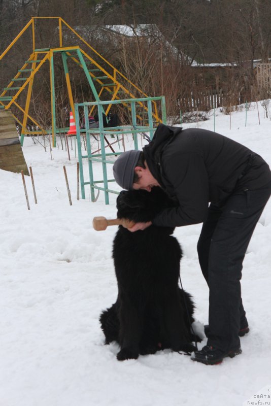 Фотография № 201029