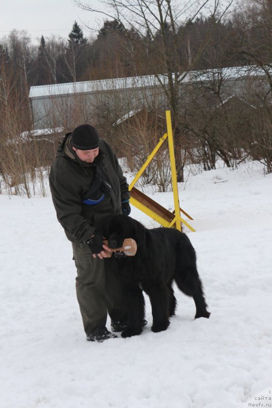 Фотография № 201030