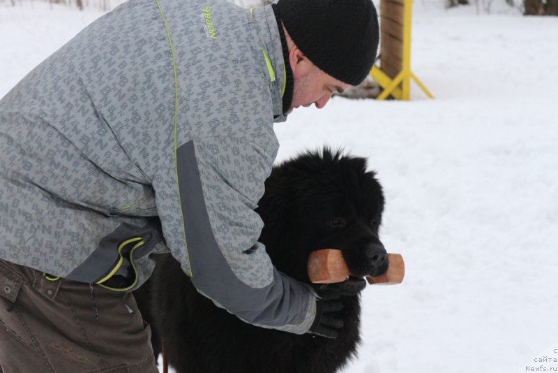 Фотография № 201032