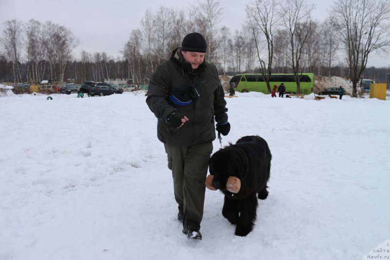 Фотография № 201033