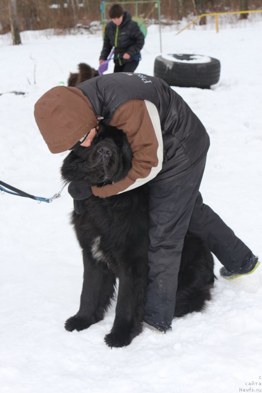 Фотография № 201035