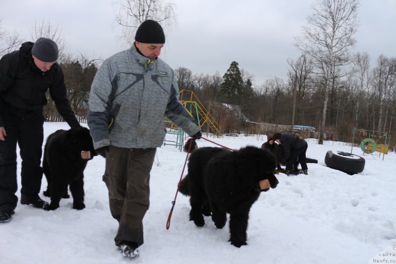 Фотография № 201036