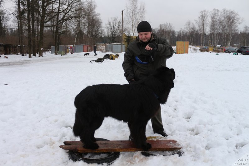 Фотография № 201037