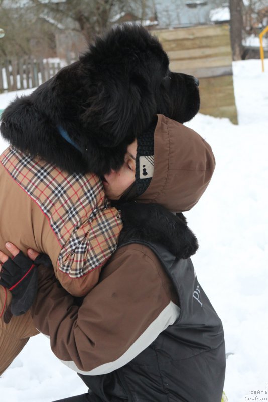 Фотография № 201038