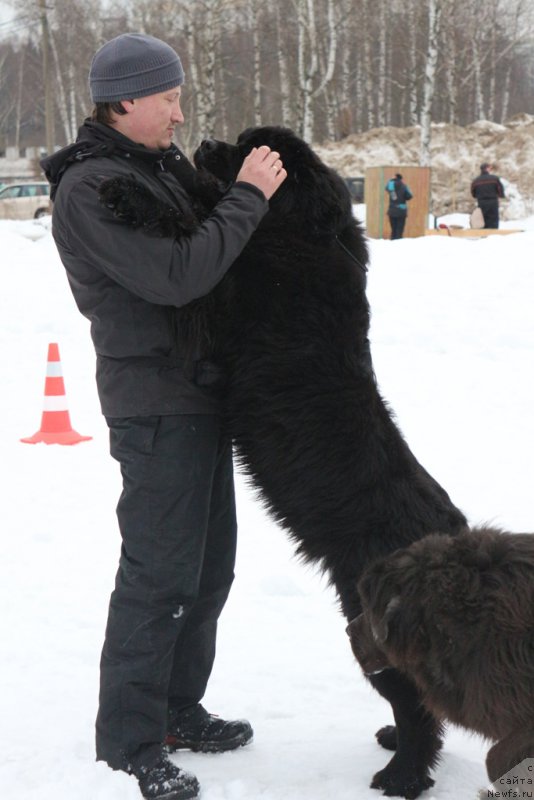 Фотография № 201039