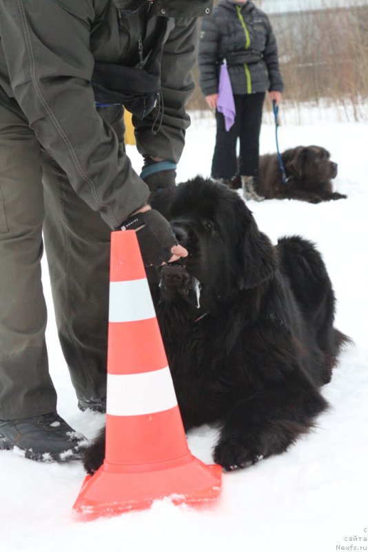 Фотография № 201040