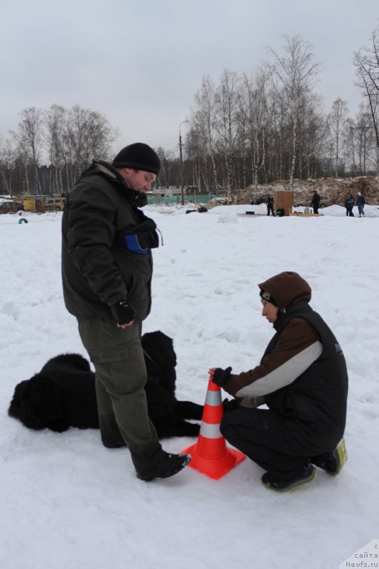 Фотография № 201041