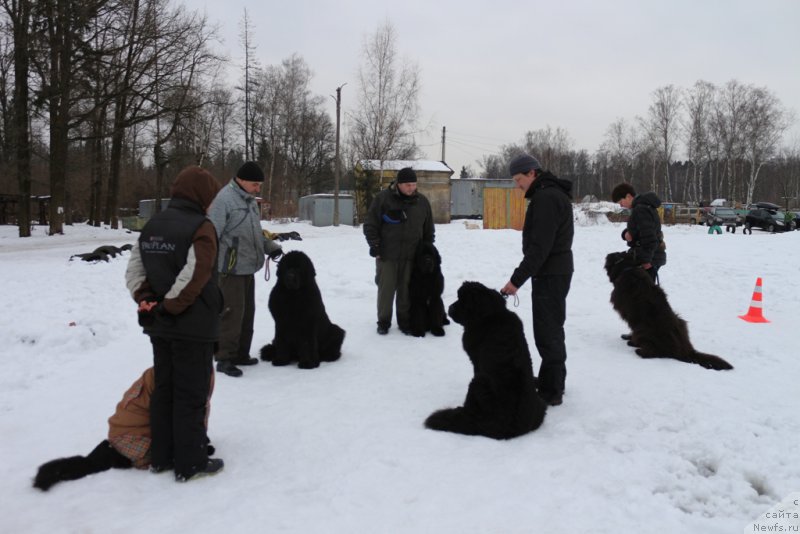 Фотография № 201042