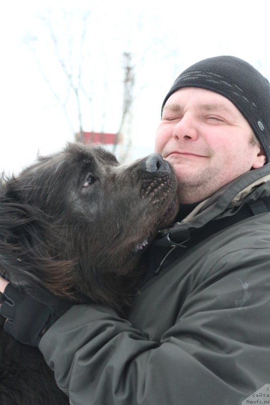 Фотография № 201043