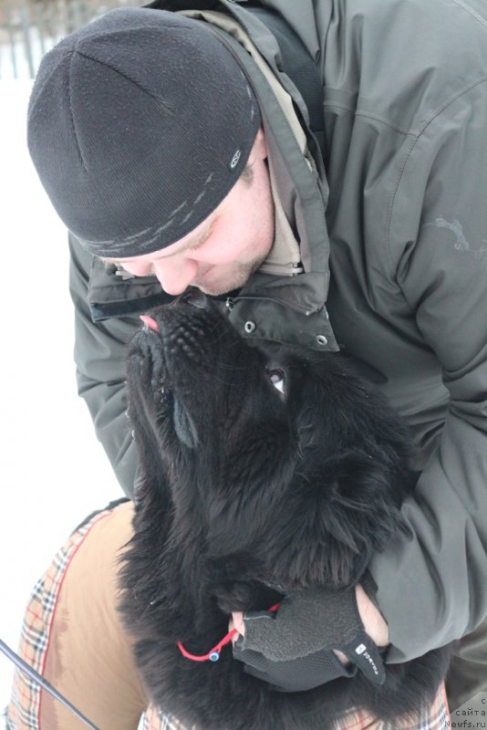 Фотография № 201044