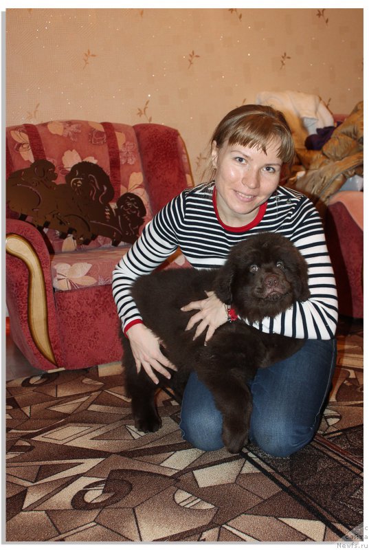 Фотография № 201050