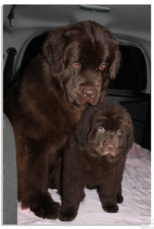 Фотография № 201051